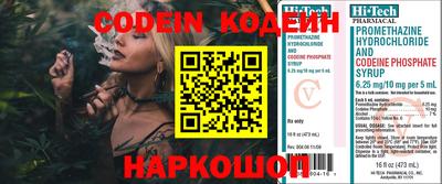 индика Ливны