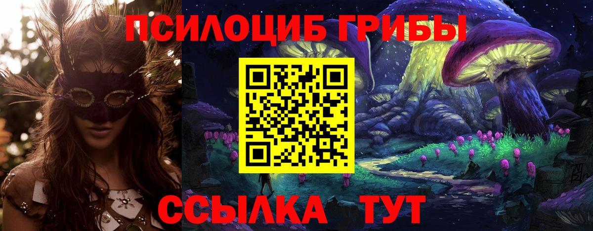 Галлюциногенные грибы прущие грибы  Вход с VPN  Стрежевой 